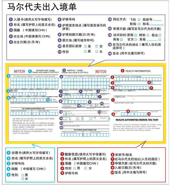 苹果绿 第8页