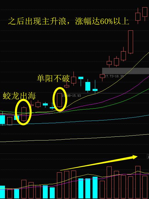 2024精准管家婆一肖一马,揭秘2024精准管家婆一肖一马的奥秘