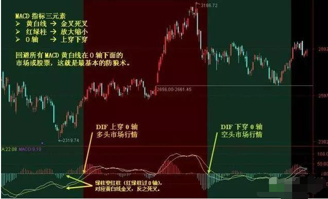 今晚上必开一肖,今晚上必开一肖，探索背后的神秘与预测的可能性