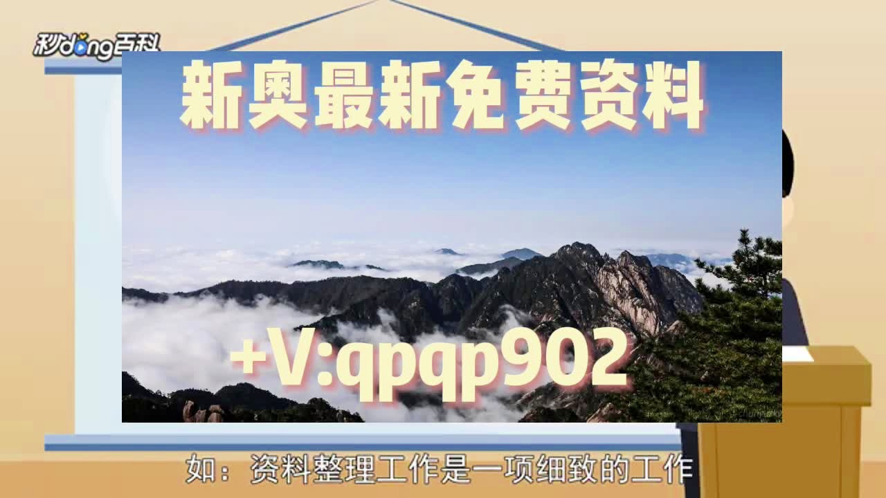 新奥免费精准资料大全,新奥免费精准资料大全，深度解析与使用指南