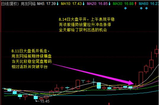 澳门平特一肖100%准确吗,澳门平特一肖，揭秘预测准确性背后的真相