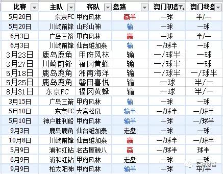 新澳内部资料精准一码波色表,新澳内部资料精准一码波色表，探索与解析