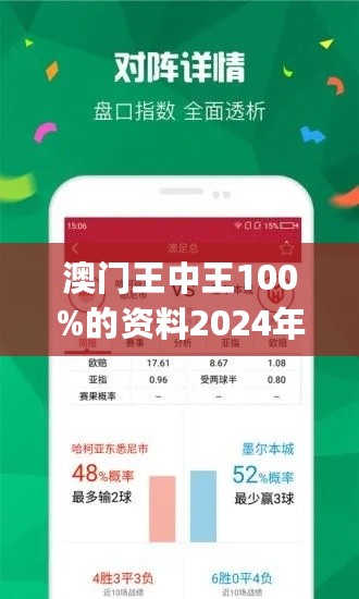 2024香港王中王,2024香港王中王，探寻荣耀背后的故事