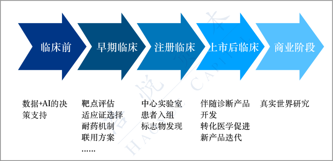 二四六管家婆期期准资料,二四六管家婆期期准资料，探索精准数据的奥秘