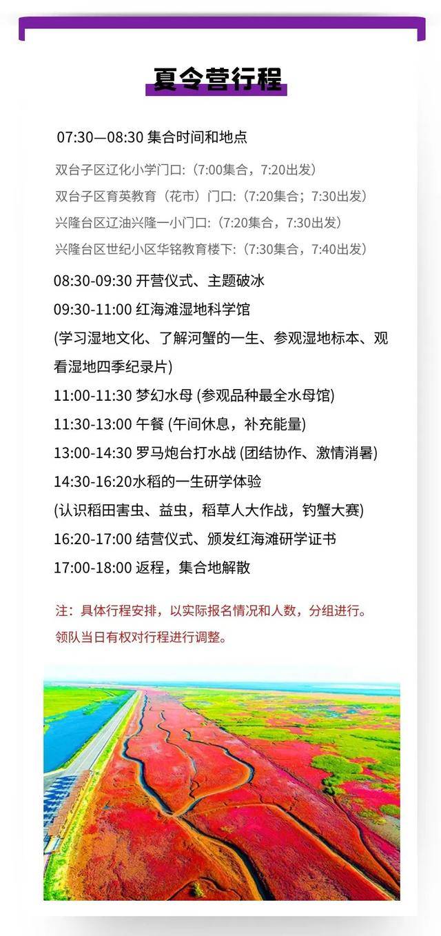 白小姐449999精准一句诗,白小姐449999精准一句诗，探索美丽与智慧的交融